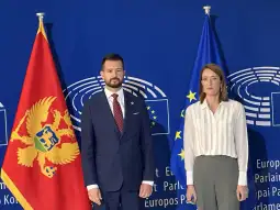 Milatovic -Mecola