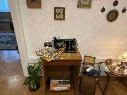 masina