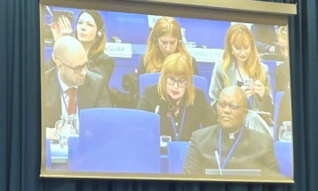 Pavličić: Predmeti organizovanog kriminala pod monitoringom Vrhovnog suda