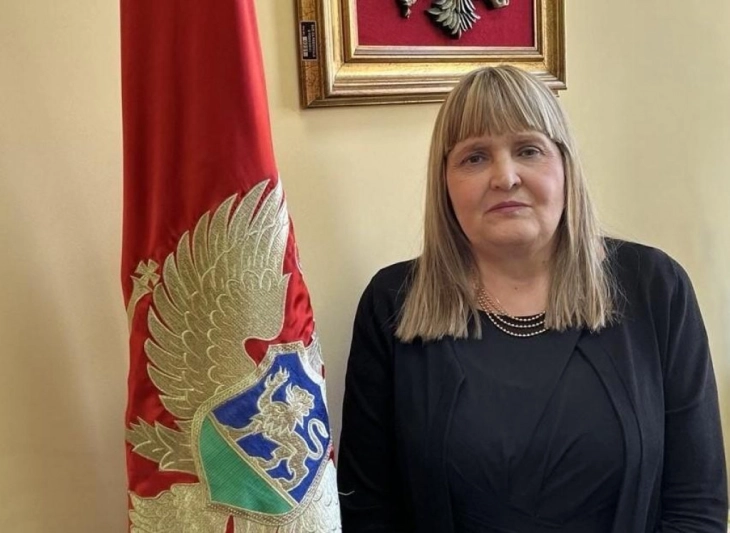 Bjeković: Pozitivni rezultati uprkos brojnim izazovima