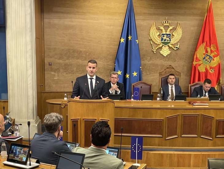 Spajic: Electoral reform implementation is a historic success