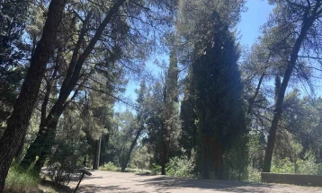 Masked individuals attempted arson on Gorica Hill