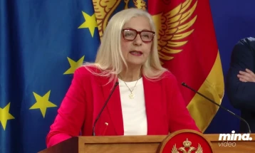 Despotović: Usvajanje PUP-a na telefonskoj sjednici potvrdilo neozbiljnost Vlade