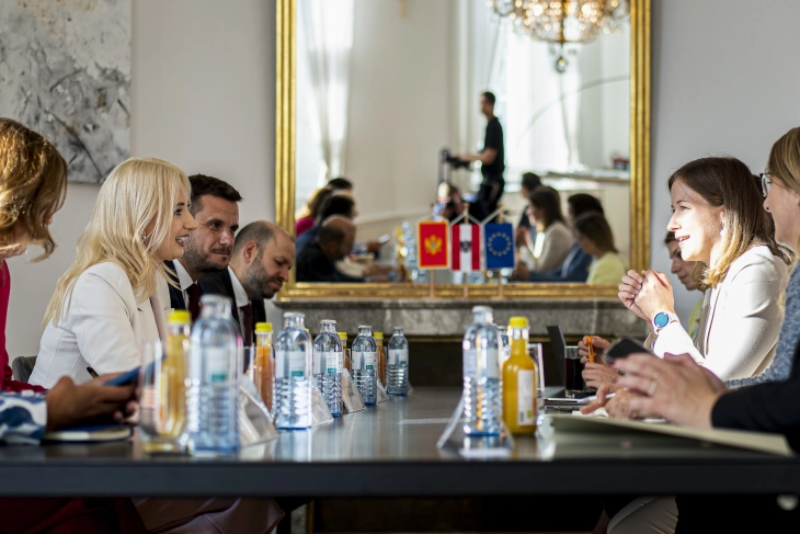 Plakolm: Impresivan reformski put Crne Gore 