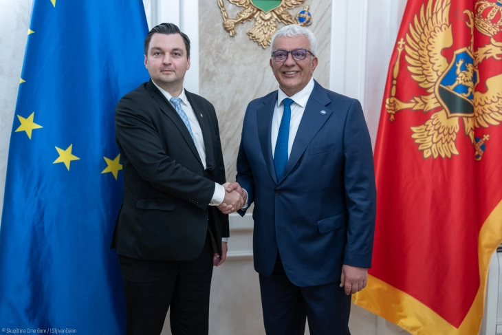 Mandić: Crna Gora najbliža EU, ohrabrujući signal za region