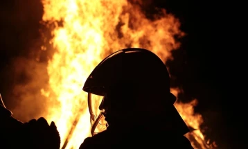 U požaru u indijskoj fabrici petardi poginulo šest osoba