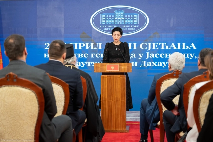 Ofner Bokan appointed as adviser to Mnadic