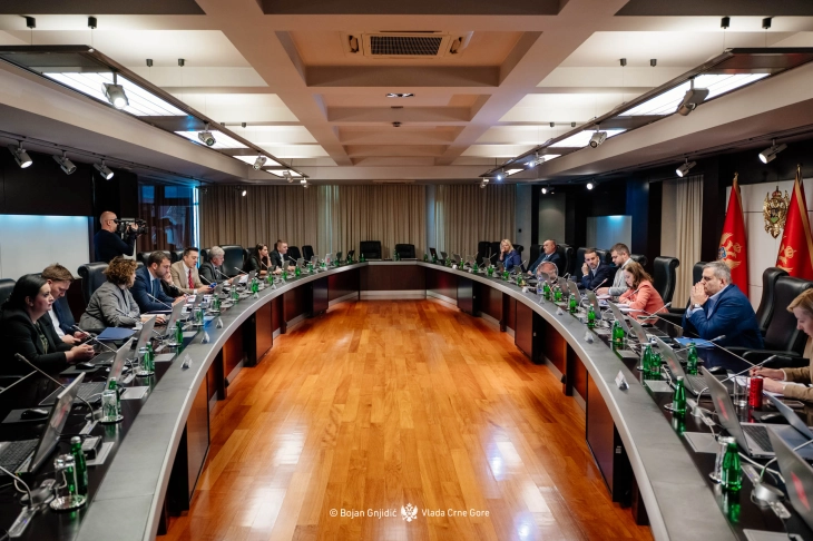 Privatization Council seeks expert analysis 