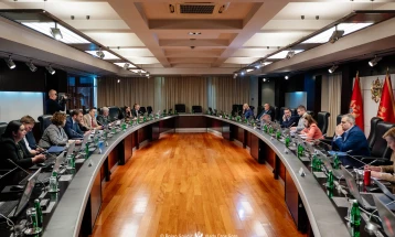 Privatization Council seeks expert analysis 