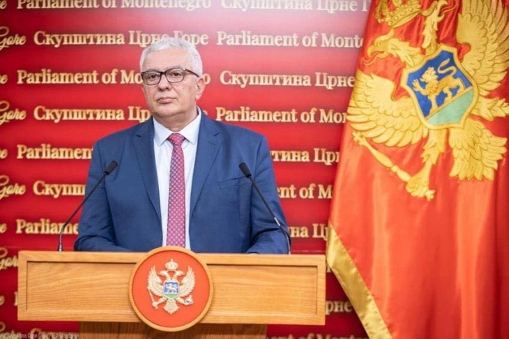 Mandic announces key discussions on election of Constitutional Court judges