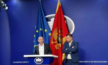 Knežević: SDT hitno da sprovede istragu u vezi sa ugovorom o izgradnji kolektora u Botunu