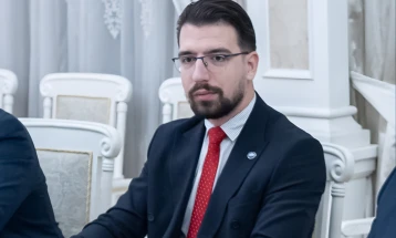 Milicic: No member of VCG will be deployed to Ukraine or Russia
