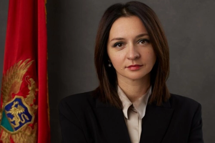 Armenko: Nema blokade Ustavnog suda, Lopičić na funkciji do izbora sudije