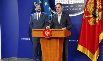 Vuković: Tekst Rezolucije o EU integraciji predstavićemo narednog petka