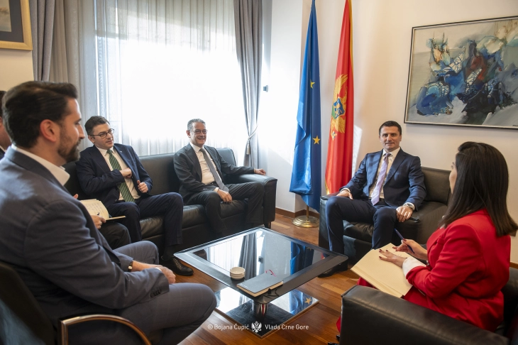 Closer cooperation with Turkiye discussed 