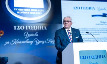 Mandić: Ustav ne oslikava stvarno stanje u društvu
