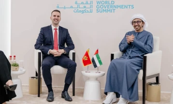 Spajic: Cooperation with UAE resulted in concrete public administration projects