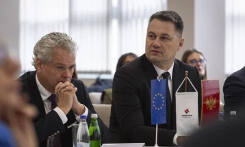 Laković: Uspostaviti EU Fond za pravednu tranziciju za Pljevlja