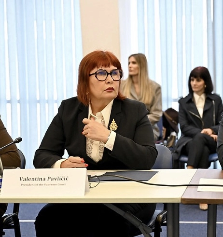 Pavličić: Napredak u poglavljima 23 i 24 potvrđen rezultatima u praksi