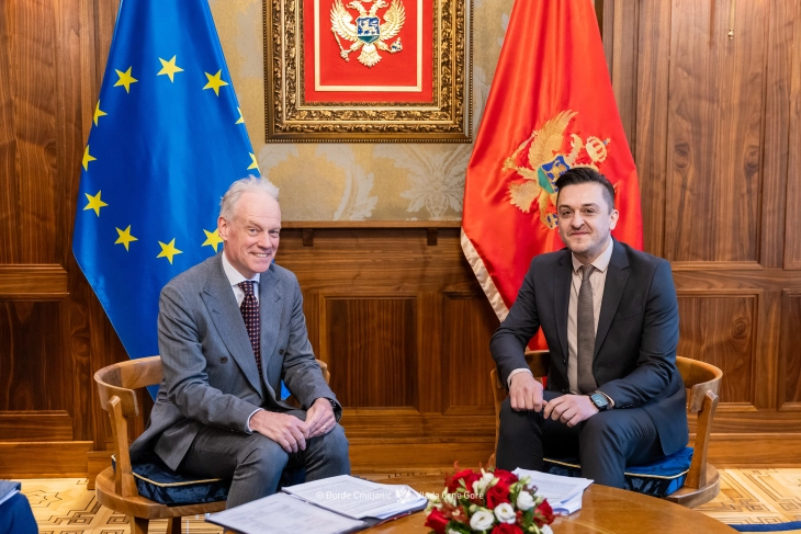 Intenzivan rad na preostalim poglavljima