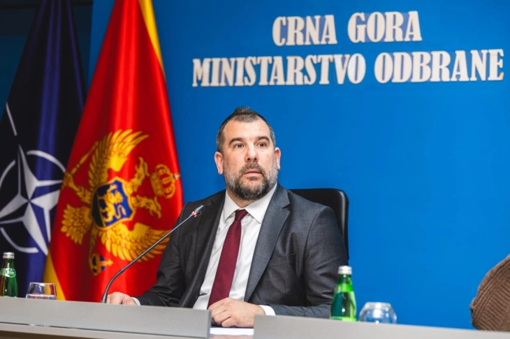 Krapović na Minhenskој bezbjednosnoj konferenciji