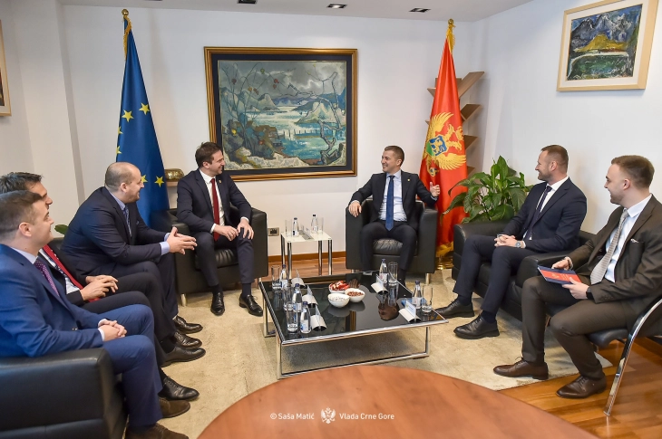 Vlada dala saglasnost Odbojkaškom savezu za kandidaturu za domaćina EP
