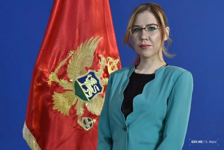 Vesna Bratic arrested