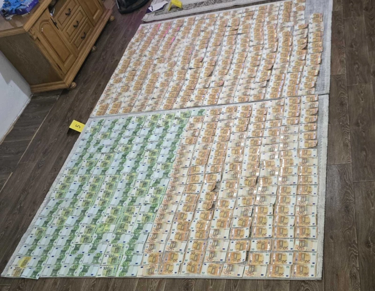 Plavljanka uhapšena zbog krađe 70 hiljada EUR