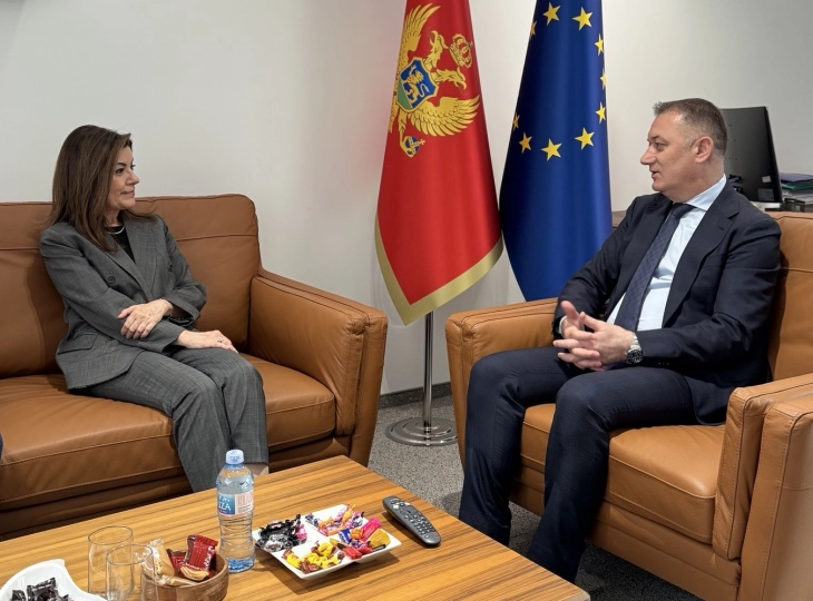 Odnosi Crne Gore i Turske stabilni i sadržajni