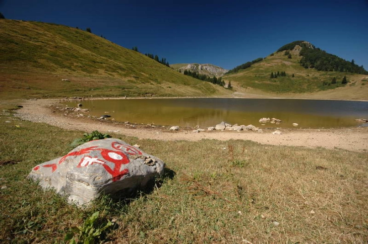 Krivična prijava zbog nelegalne gradnje u NP Biogradska gora