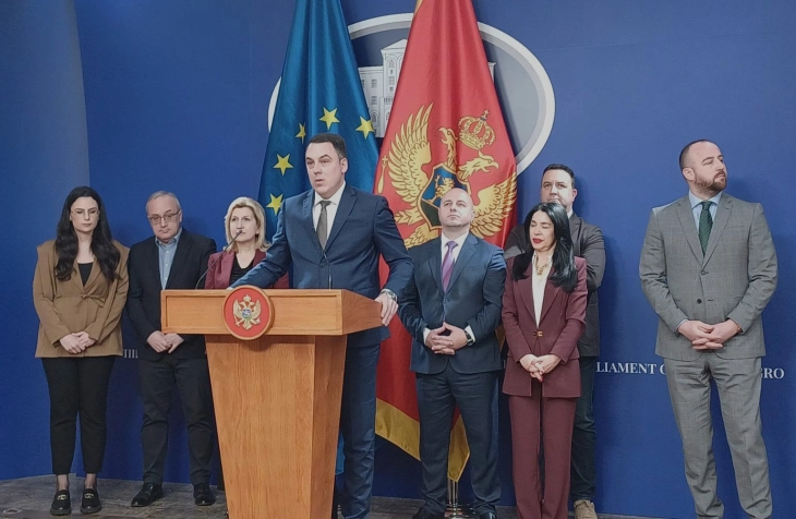Vukovic resigns as EU Integration Committee chair