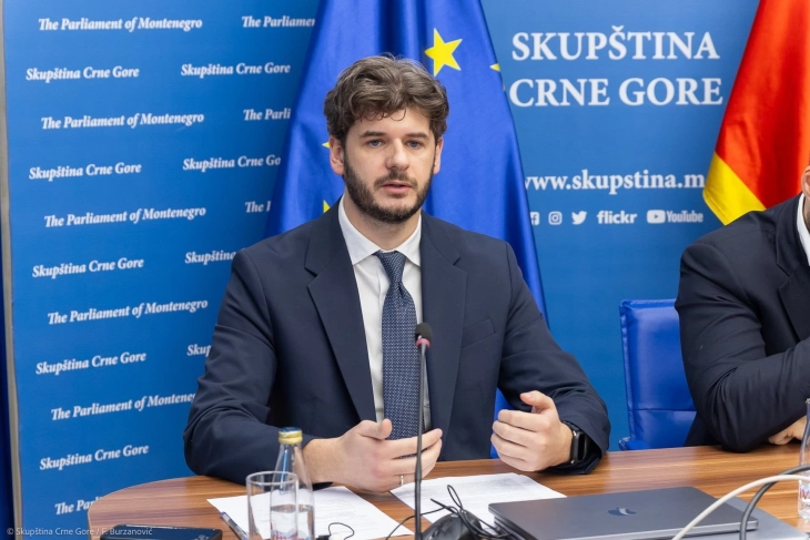 Čarapić: Smanjenje akciza ne garantuje niže cijene goriva