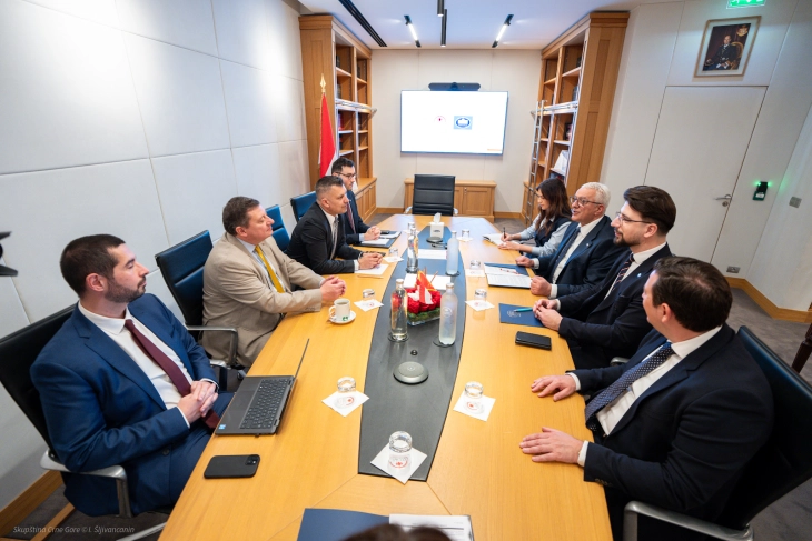 Mandić: Zbližavanje malih država ključno za njihov snažniji glas u međunarodnoj zajednici