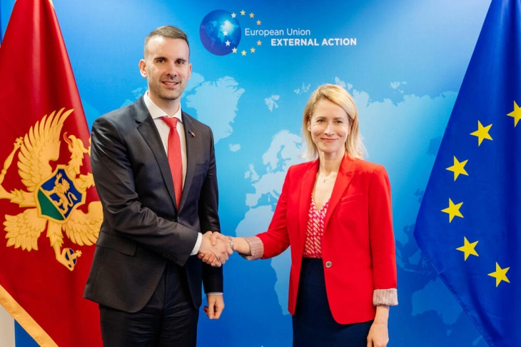 Spajic: Montenegro’s reform efforts and alignment with EU commended