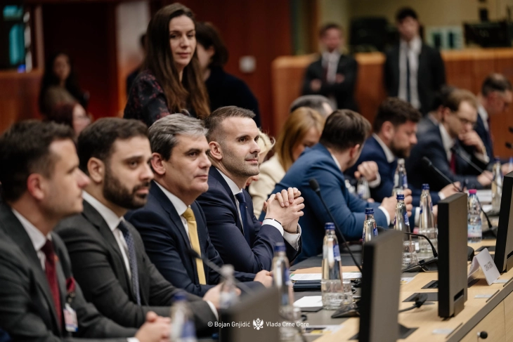 Ibrahimović: Crna Gora pokazala da ima kapacitet da unapređuje sisteme u skladu sa evropskim standarima