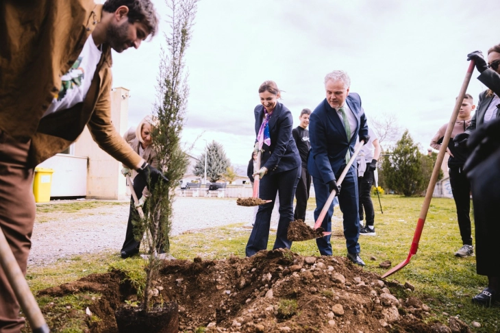 Schoolyard greening project launched under national environmental campaign
