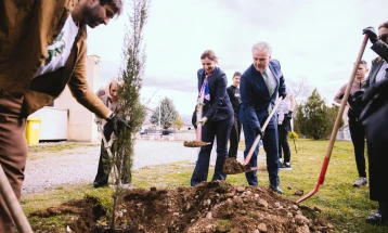 Schoolyard greening project launched under national environmental campaign