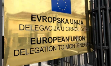 EU Delegation: Retaining stable support to reforms with involvement of all parliamentary forces