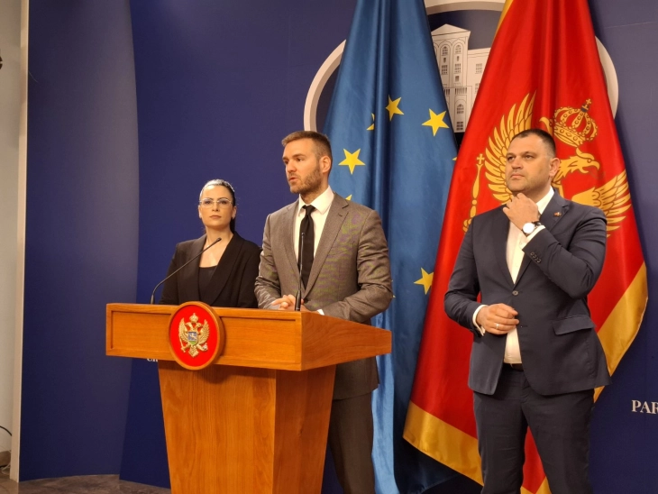Rakocevic: Public debate on open lists to begin this week