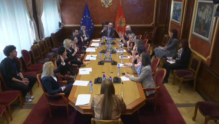 International Affairs Committee backs Scepanovic’s appointment as ambassador to the Council of Europe