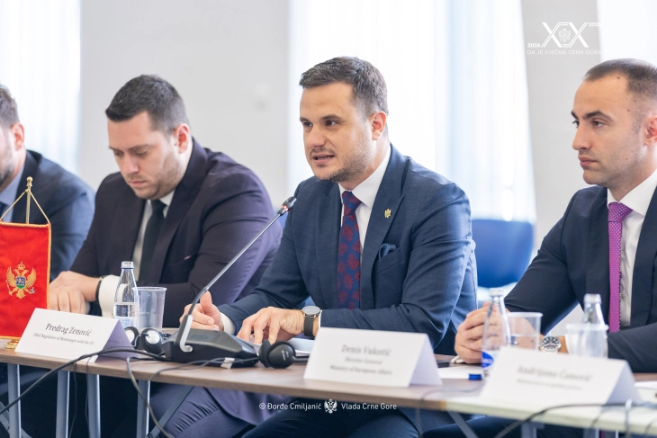 Zenovic: Montenegro focused on closing chapters during Irish EU presidency