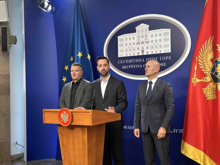 ES, HGI i Laković traže ocjenu ustavnosti odredbi Zakona o unutrašnjim poslovima