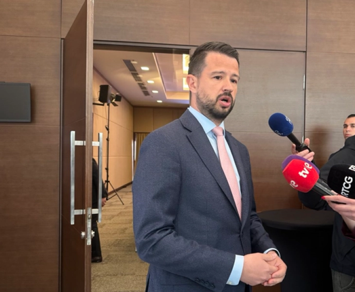Milatovic: Pace of closing EU negotiation chapters below expectations