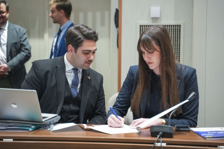 Saradnja mladih PES-a i Demokrata iz Poljske