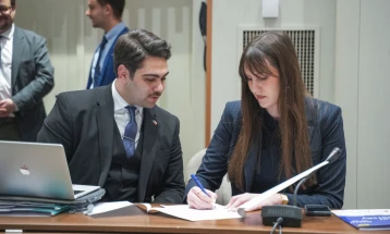 Saradnja mladih PES-a i Demokrata iz Poljske