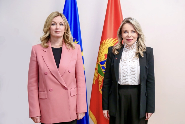 CBCG and UNDP develop partnership focused on financial system modernization 