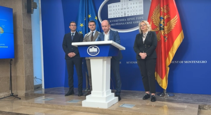 Knezevic: DNP expects draft laws on national symbols and citizenship on April 7 agenda
