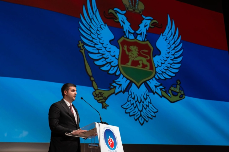 Bozovic: SNP supports introduction of tricolor as people’s flag