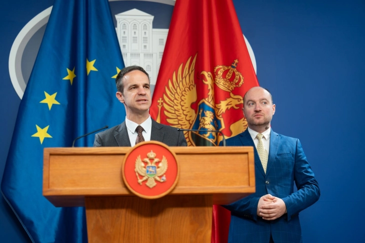 European Alliance: Government will have the option to temporarily reduce VAT