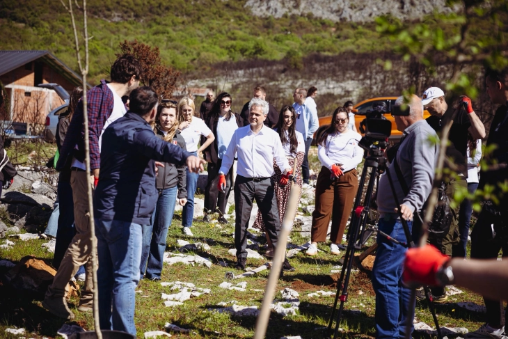 Cleanup of burnt areas in Piperi